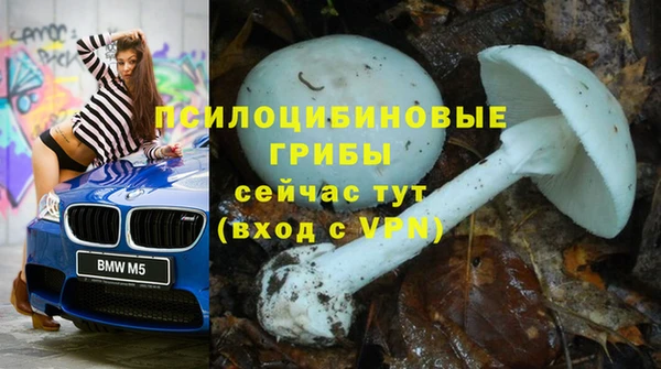СК Алексеевка