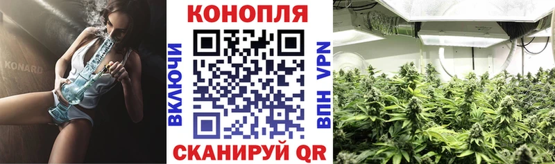 ОМГ ОМГ ТОР  продажа наркотиков  Протвино  Бошки марихуана план 